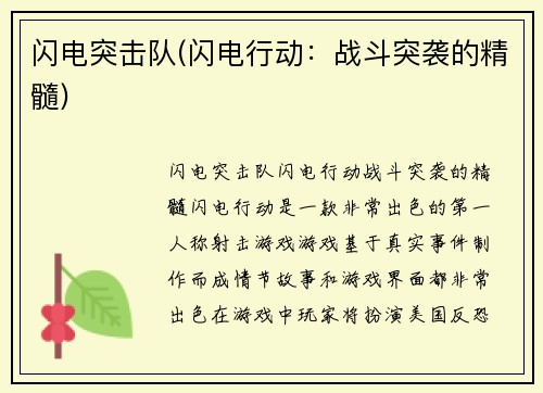 闪电突击队(闪电行动：战斗突袭的精髓)